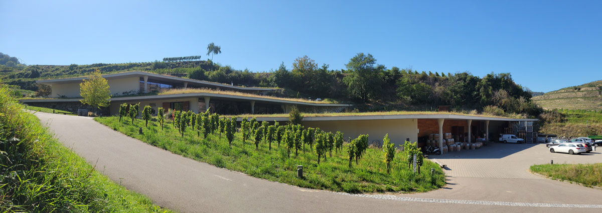 Chai Keller à Oberbergen dans le Kaiserstuhl en Allemagne