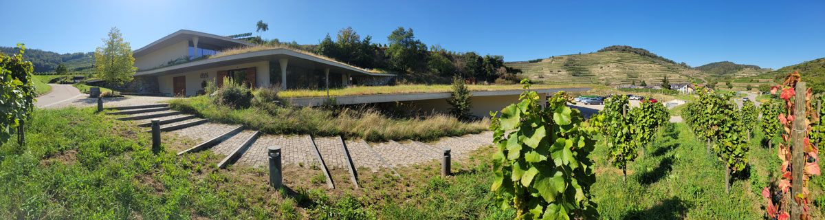 Chai Keller à Oberbergen dans le Kaiserstuhl en Allemagne