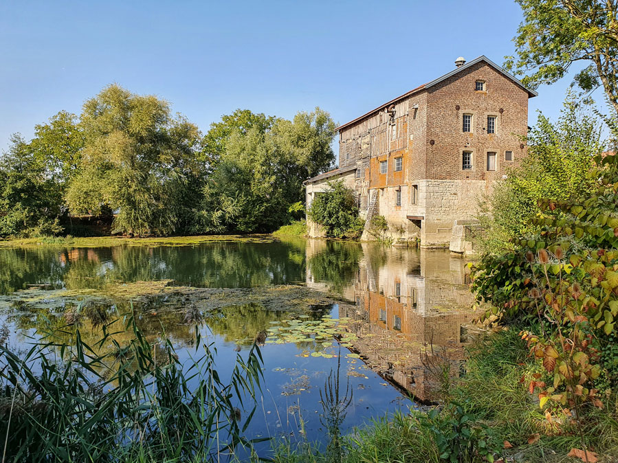 Lac du Der-Chantecoq - Sainte-livière - France